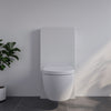 WC ensemble complet 41 : WC NT2039 Blanc