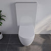 WC ensemble complet 41 : WC NT2039 Blanc