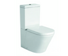 WC monoblocco con cisterna  CT1099 - attacco acqua nella parte superiore - con chiusura soft-close