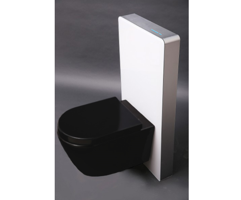 WC-Komplettpaket 39: WC B-8030R Schwarz