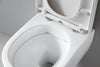 Pack WC complet 41 : NT2039 Blanc avec siège Soft-Close & module sanitaire 805S Blanc